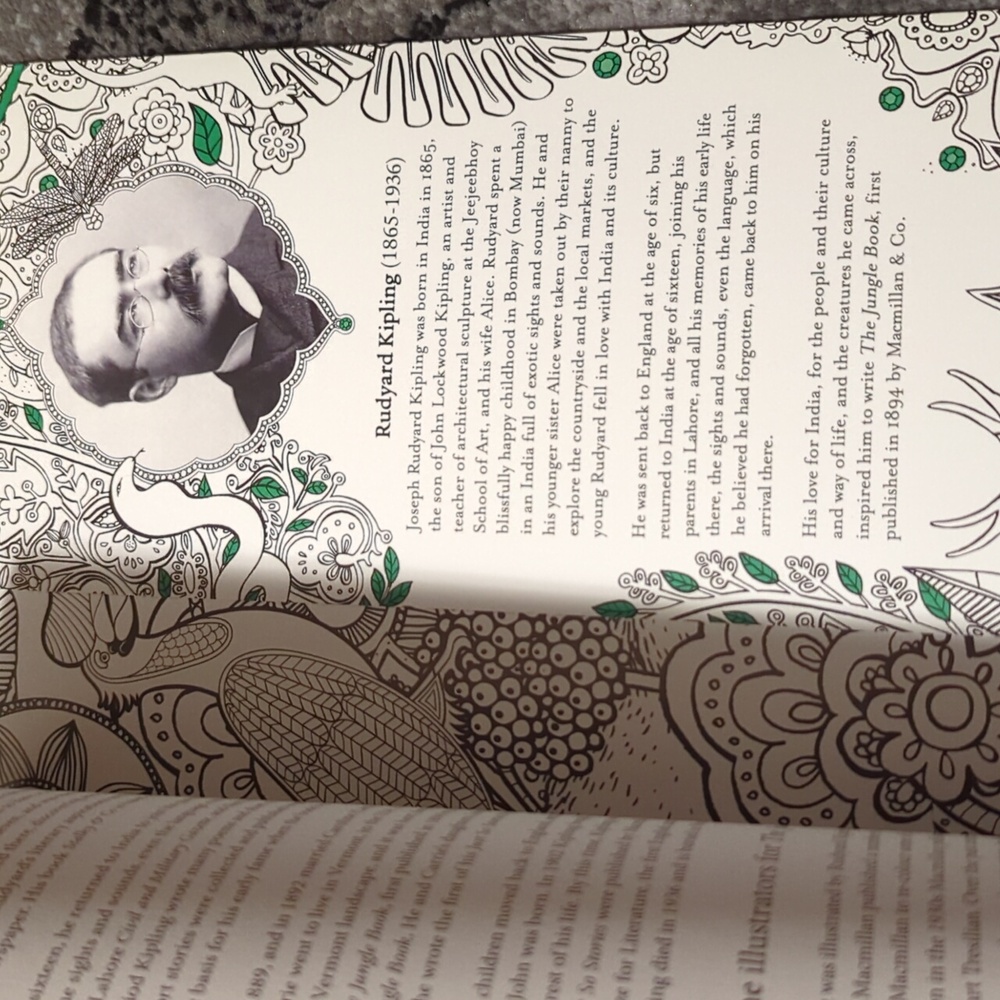 The Jungle Book colouring book new - Picture 13 of 14